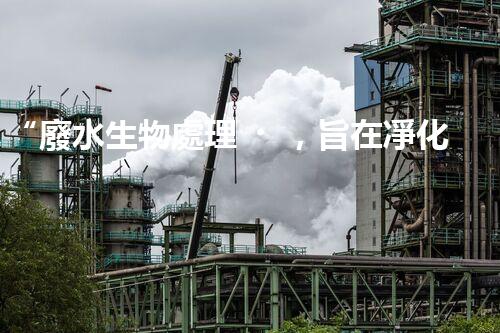 “廢水生物處理，旨在凈化水源，守護(hù)碧水藍(lán)天”